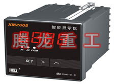 溫度表、數(shù)字顯示儀、濕度表